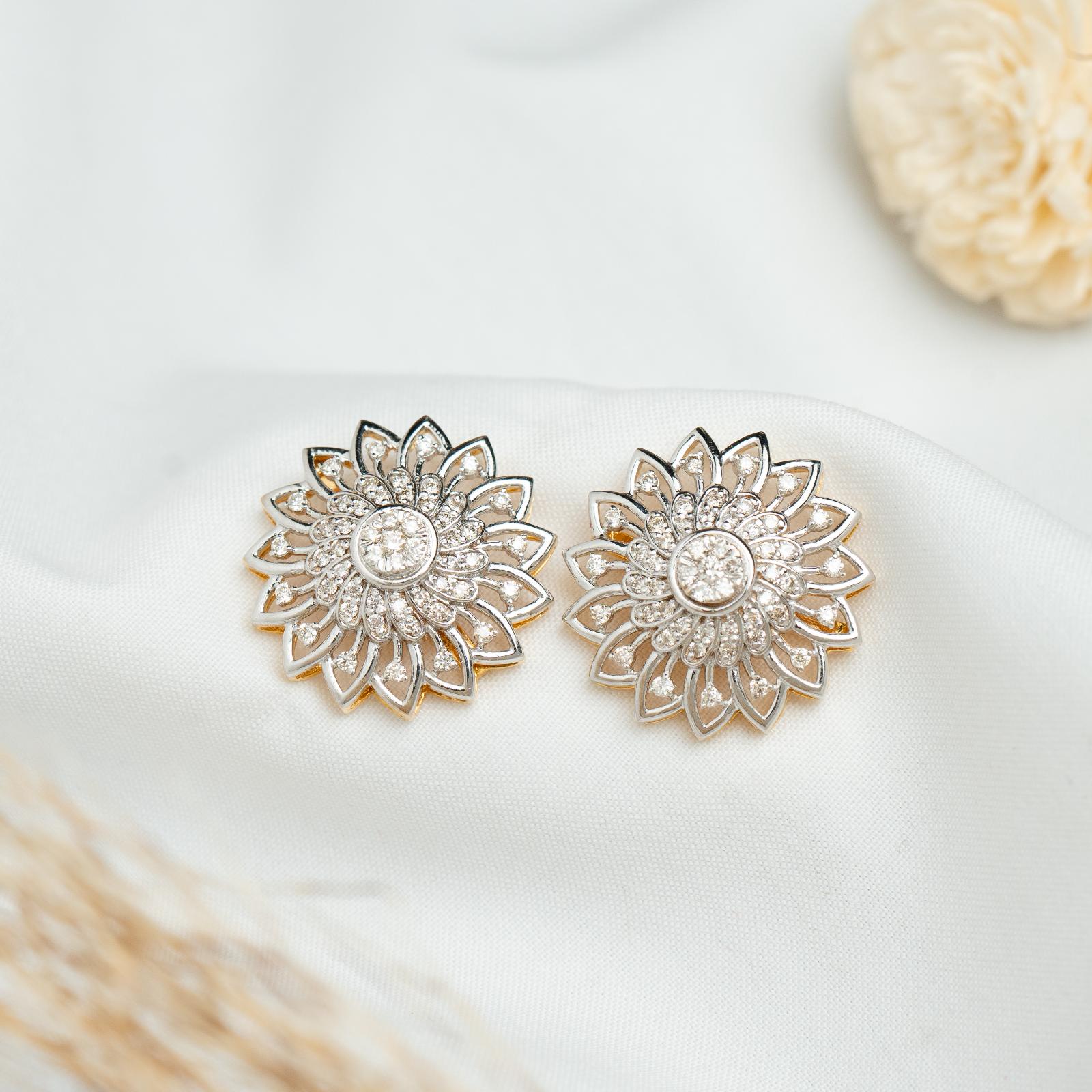 Ear Rings  (6)